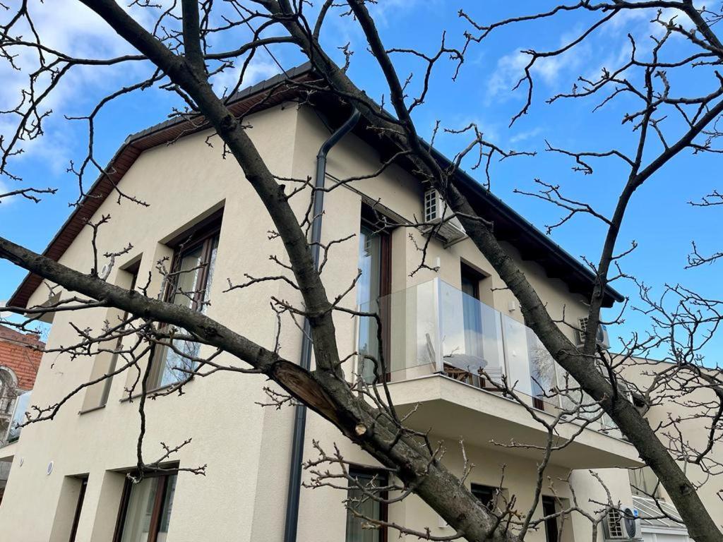 Nature In The City Lower Storey Bestern セゲド エクステリア 写真